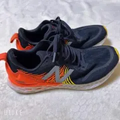 Item thumbnail for item d4f2767c-e536-433c-aa94-23324a7c13ed