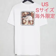 海外限定ノースフェイス　Topographic バックプリント Tシャツ