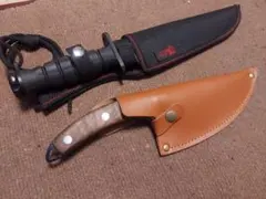 Item thumbnail for item a126f6d3-4d73-4243-80c6-0eb26f3b4586