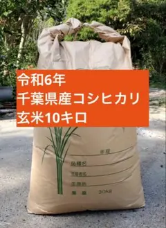 千葉県産コシヒカリ(令和6年秋) 玄米10キロのサムネイル