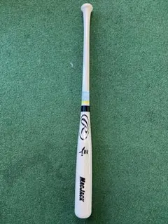 Item thumbnail for item 1e2a5fe5-b010-42d2-b452-81240f4e8b27