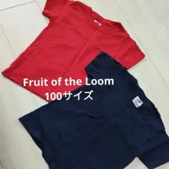 Fruit of the Loom Tシャツ 2枚セット　100サイズのサムネイル