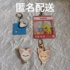 Stray Kids TOY WORLD 刺繍キーホルダー アクスタ アイエン - メルカリ