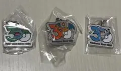 ポケモン30周年 メタルチャームマスコット めじるしアクセサリー　進化セット