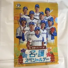 ファイターズ ファイル 非売品のサムネイル