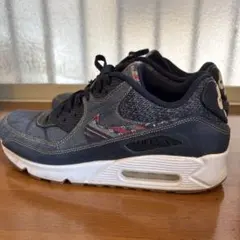NIKE AIR MAX90 日本未発売限定カラー　28cm