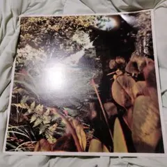 2001年 PEKKA STRENG 12インチ