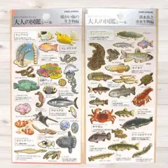 【正規品】暖かい海の生き物　淡水魚と淡水生物　大人の図鑑シール2枚セット