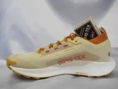 新品 28cm ナイキ PEGASUS TRAIL 5 GTX ゴアテックスのサムネイル