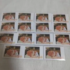 ジェルくん 劇場版すとぷりはじまりの物語　フォトカードくじ15枚セット