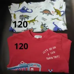 恐竜柄長袖Tシャツ（ジュラシック・ペリオド）２枚セット