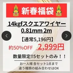 新春お年玉企画 14kgf スクエアワイヤーハード　0.81mm 2m 数量限定