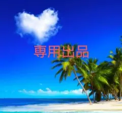 ななか様専用 ヘアアイロン ヘアアクセサリー まとめ売り 40点以上