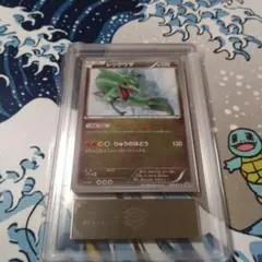 ぴ*ん様 レックウザ イラストコレクション プロモ 100/XY-P PSA10