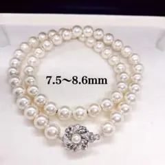 テリ良好★パールネックレス　あこや　シルバー　8.6cm (700)P7