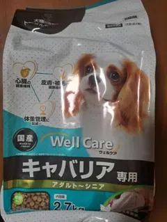 Item thumbnail for item f819f758-3366-4afc-af01-77ffcbc4ed19