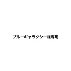 ブルーギャラクシー様専用【ラブブ 17cm クリアケース】2個