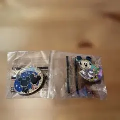 ディズニーランド　ジャングルカーニバル　ミニーちゃん　夜限定　ピンバッチ