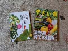 しおりん様 リクエスト 2点 まとめ商品