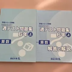 2026年最新】週テスト 2024の人気アイテム - メルカリ