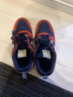 Item thumbnail for item d4a70c36-da4b-4862-b29c-3c822e5f23c9