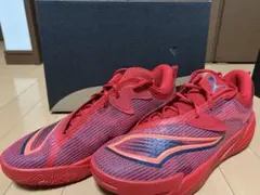PUMA ALL- PRO NITRO 2