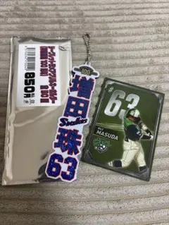 ヤクルト シークレットラメアクリルキーホルダー 神宮球場100周年 増田珠