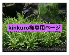 kinkuro様専用ページ