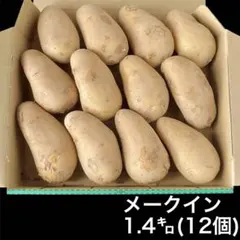 長崎県産メークイン1.4kg 12個じゃがいも馬鈴薯 肉じゃがカレーじゃがバターのサムネイル