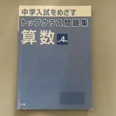 Item thumbnail for item 0d73415d-9cfc-491f-90f0-54e271025e06