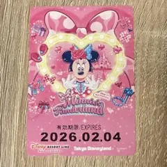 ディズニーリゾートラインフリー切符　ミニー