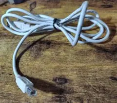 USB TypeA-USB TypeBケーブル 約2メートル