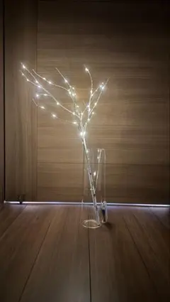 Item thumbnail for item b2b707b4-b03e-48c9-b7fd-e622d3bf102f