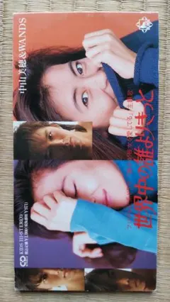 中山美穂 邦楽