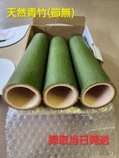 天然青竹中太長23cm径50×3本！工作素材 ハンドメイド 等農薬不使用 節なし
