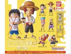 2025年最新】ワンピの実まとめ売りの人気アイテム - メルカリ