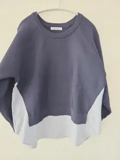 Item thumbnail for item 9e47d457-300a-4a8b-8d56-11f53275b2e5