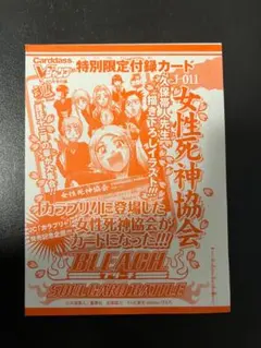 未使用 BLEACH 女性死神協会 J-011 Vジャンプ付録 3枚 - メルカリ