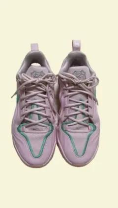 NIKE A'TWO EP A Two 27.5cm エイジャウィルソン