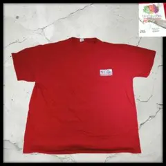 フルーツオブザルーム 企業ロゴ ポケットTシャツ 赤 2XL ゆるだぼUS古着のサムネイル