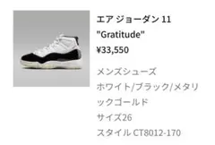エアジョーダン11 レトロ Gratitude 26cm CT8012-170