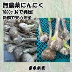 行者にんにく 2025年採り種10g(約900粒) 貴重な山菜を栽培【精選種子