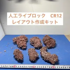 2025年最新】ライブロック セメントの人気アイテム - メルカリ
