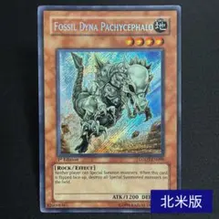 2026年最新】パキケファロ 遊戯王の人気アイテム - メルカリ