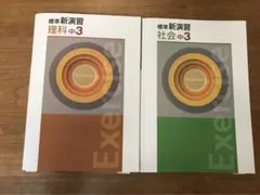 【新品未使用 中２セット】標準新演習 改定最新版 2025年最新】標準新演習の人気アイテム - メルカリ