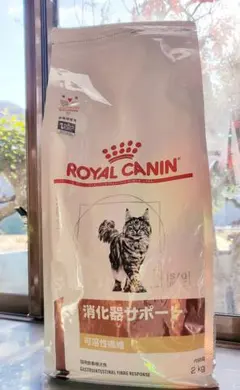 Item thumbnail for item e64ce6e2-55a5-4f0b-bce4-8dfd17896800