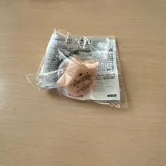 セカライ 3rd リングライト みのり