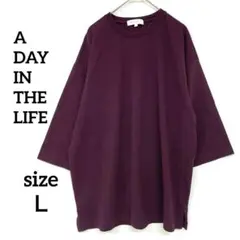 【美品】アデイインザライフ　Tシャツ Lサイズ　バーガンディ　大きいサイズ　丸首