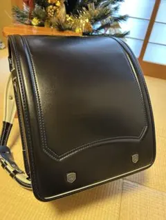 Item thumbnail for item 3452c513-e064-49a0-b93f-b0cc9e074e5b