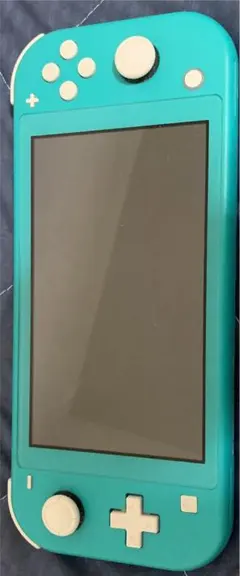 Nintendo Switch NINTENDO SWITCH LITE ター…